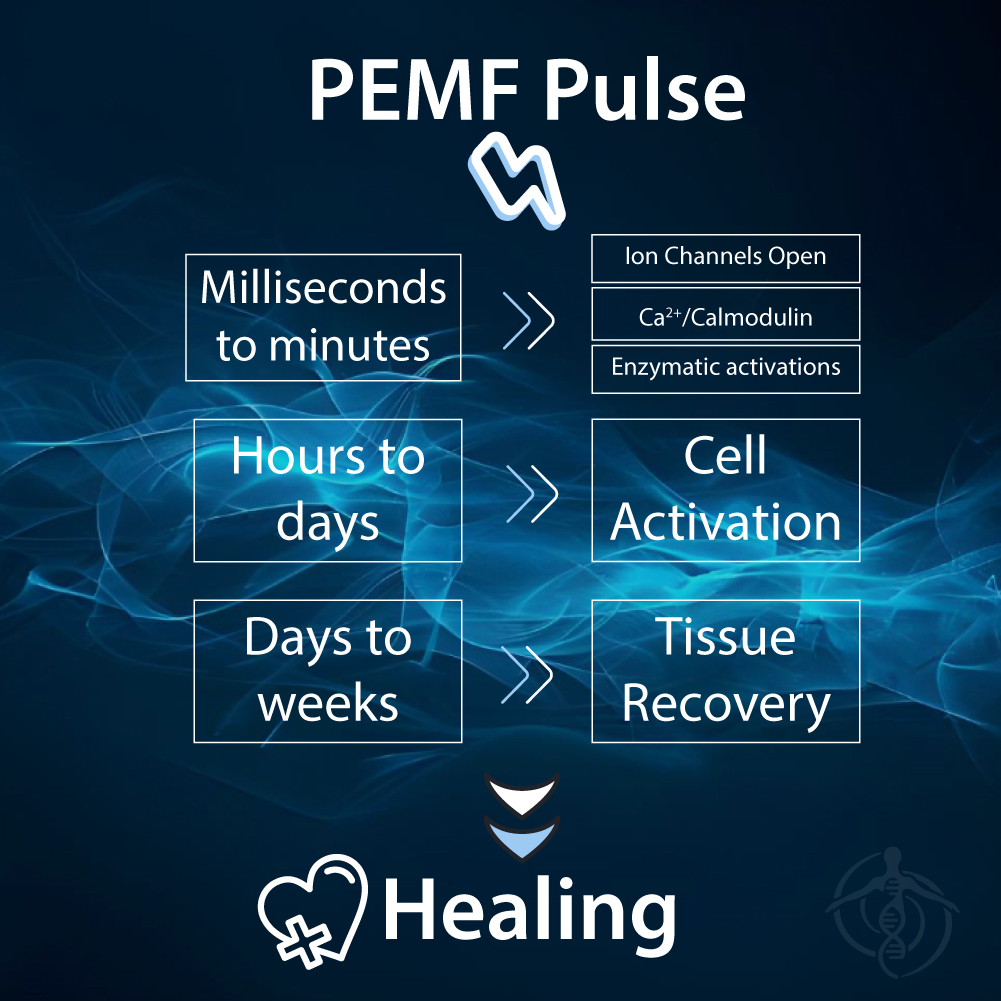 Ayus Wellness The Ultimate PEMF Therapy Mat SKU AW-PEMFTM