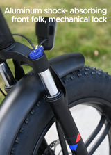 ENGWE Engine X Full Suspension Foldable E-bike SKU AENX-UKBK01