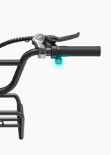 Engwe L20 Boost Combo Power-boost Torque Sensor Step-Thru E-bike SKU L20BSTRD2