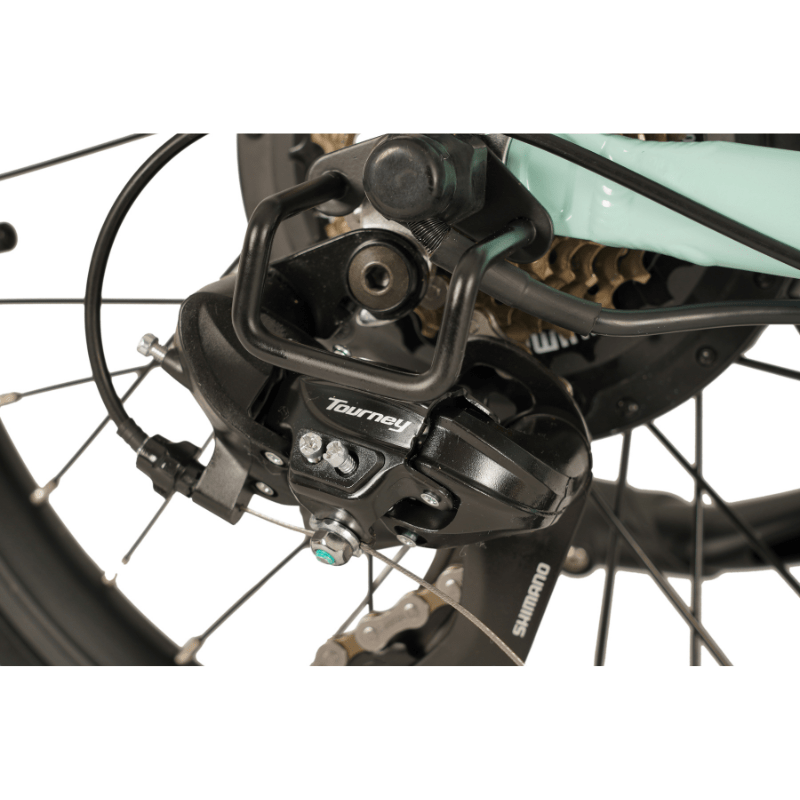 E-Go Step Folding 250W Electric Bike Step Through SKU E-SFRR