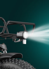 Engwe L20 Boost Combo Power-boost Torque Sensor Step-Thru E-bike SKU L20BSTRD2