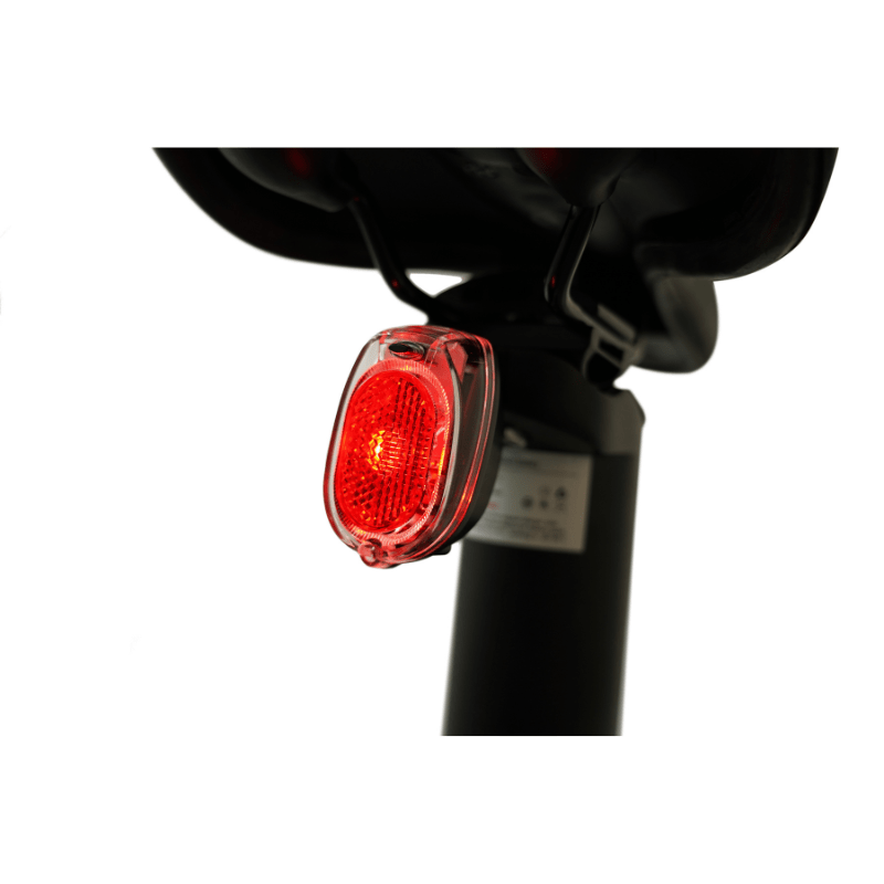 E-Go Step Folding 250W Electric Bike Step Through SKU E-SFRR