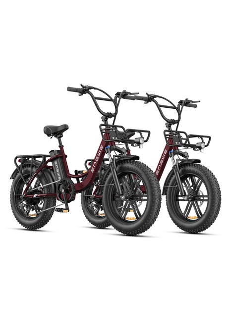 Engwe L20 Boost Combo Power-boost Torque Sensor Step-Thru E-bike SKU L20BSTRD2