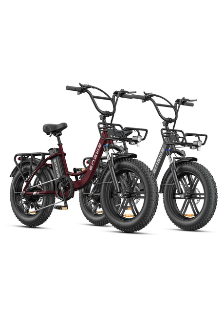 Engwe L20 Boost Combo Power-boost Torque Sensor Step-Thru E-bike SKU L20BSTRD2