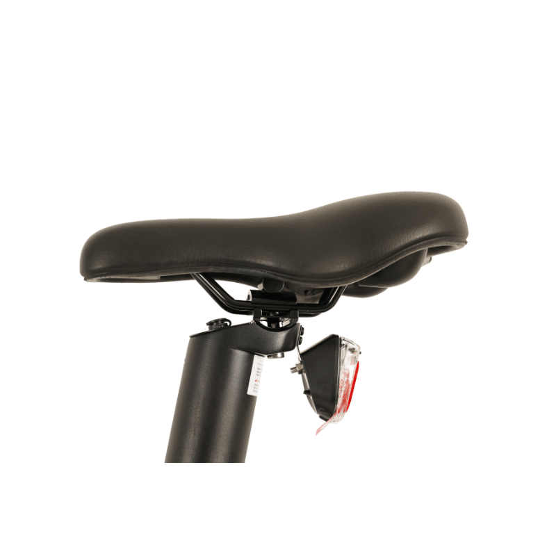 E-Go Step Folding 250W Electric Bike Step Through SKU E-SFRR