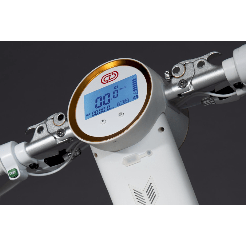 Cruzaa E-Scooter PRO Racing w/ Built-in Speakers, Bluetooth 350W SKU CruzaaE-ScooterPRO