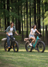 ENGWE E26 Dual Suspension All-Terrain E-bike SKU E26