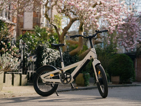 Heybike EC Compact City Commuter Bike SKU City-W-RR