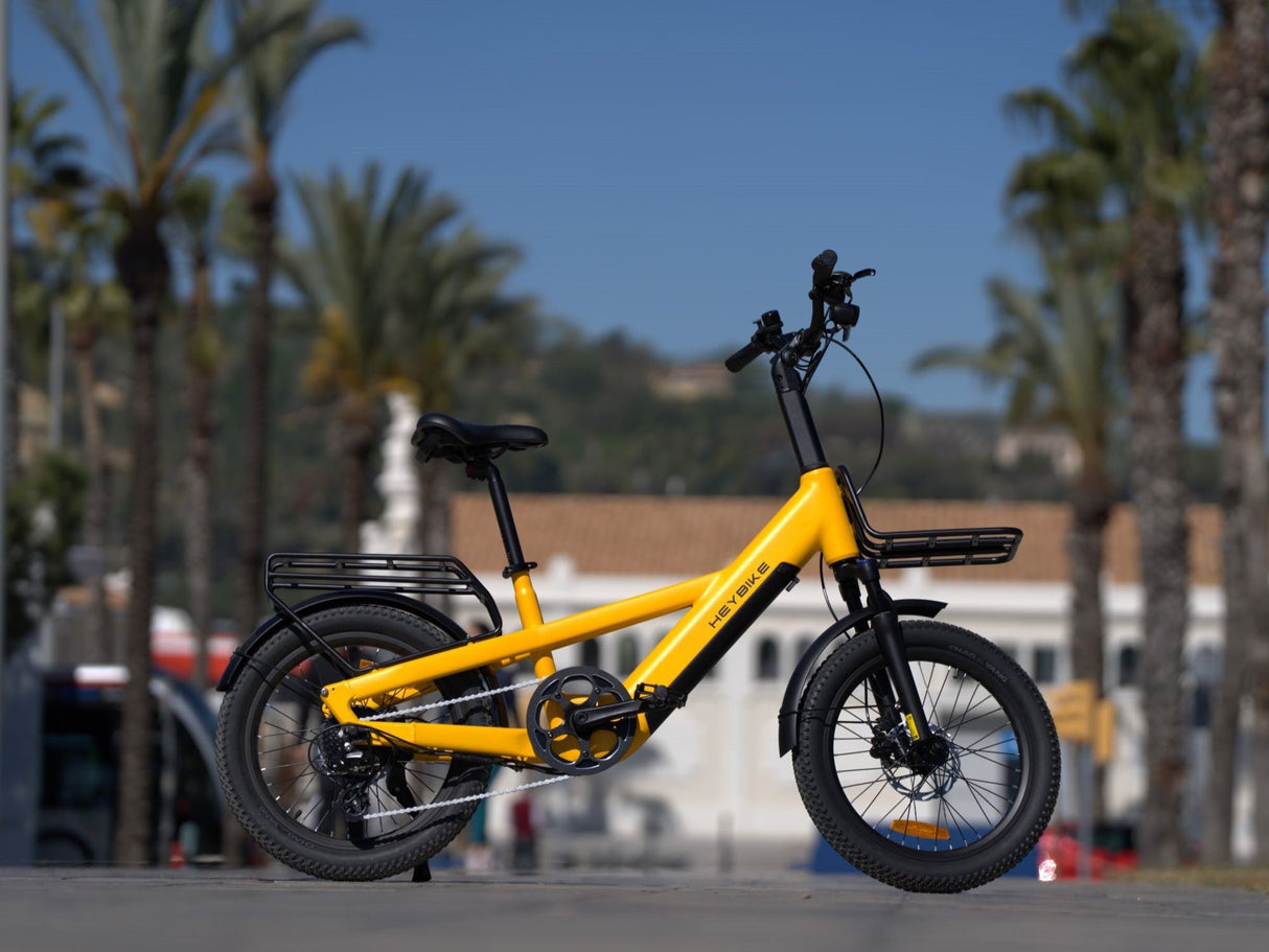 Heybike Compact Sport Cargo Bike SKU EC-Compact-Sport-G