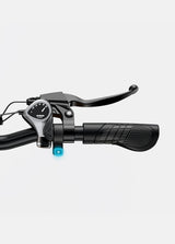 Engwe EP-2 Boost Foldable Frame SKU EP2-BOOST-GY