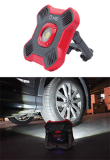 1100 Lumen Floodlight