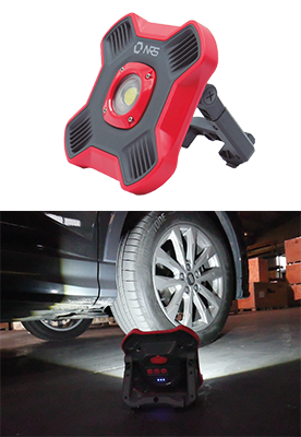 Dama 1100 Lumen Floodlight