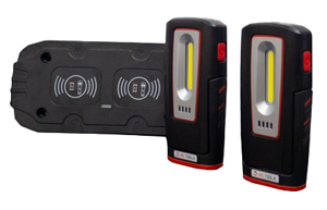 Dama Induction Lights Kit
