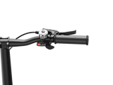 Heybike Helio F Artist Limited Edition Foldable City Bike SKU HelioF-A